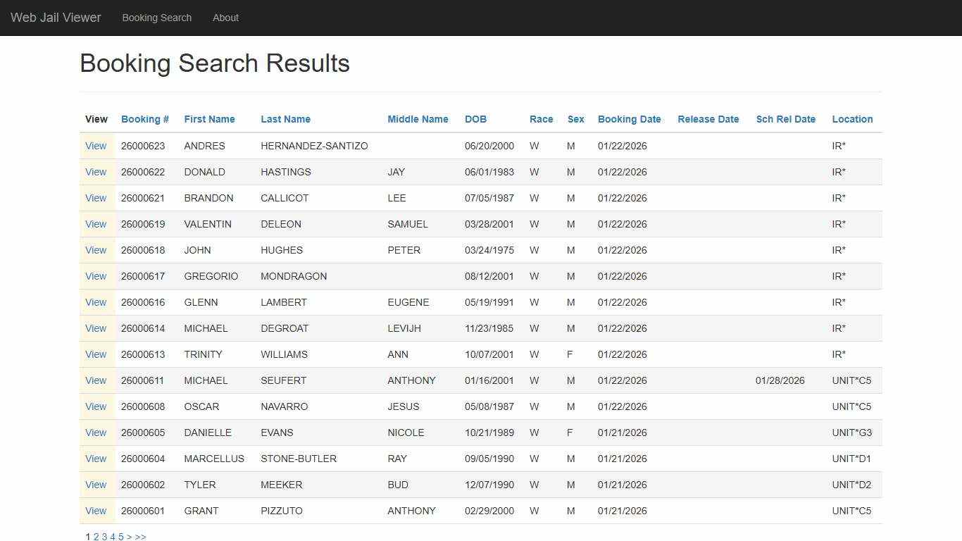 BookingSearchDetail - Web Jail Viewer