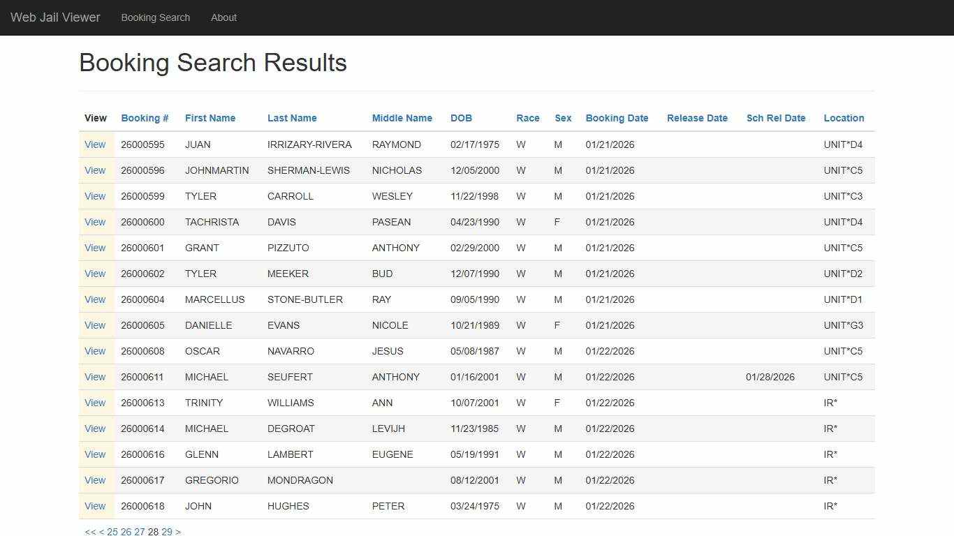 BookingSearchDetail - Web Jail Viewer